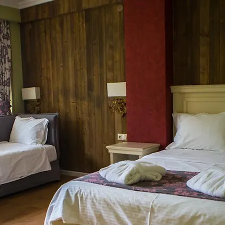 Hotel Irene's Loutraki (Pella)