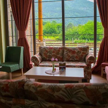 Hotel Irene's