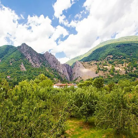 Ξενοδοχείο Irene's