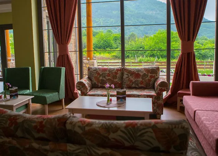 Hotel Irene's